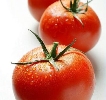 Tomate