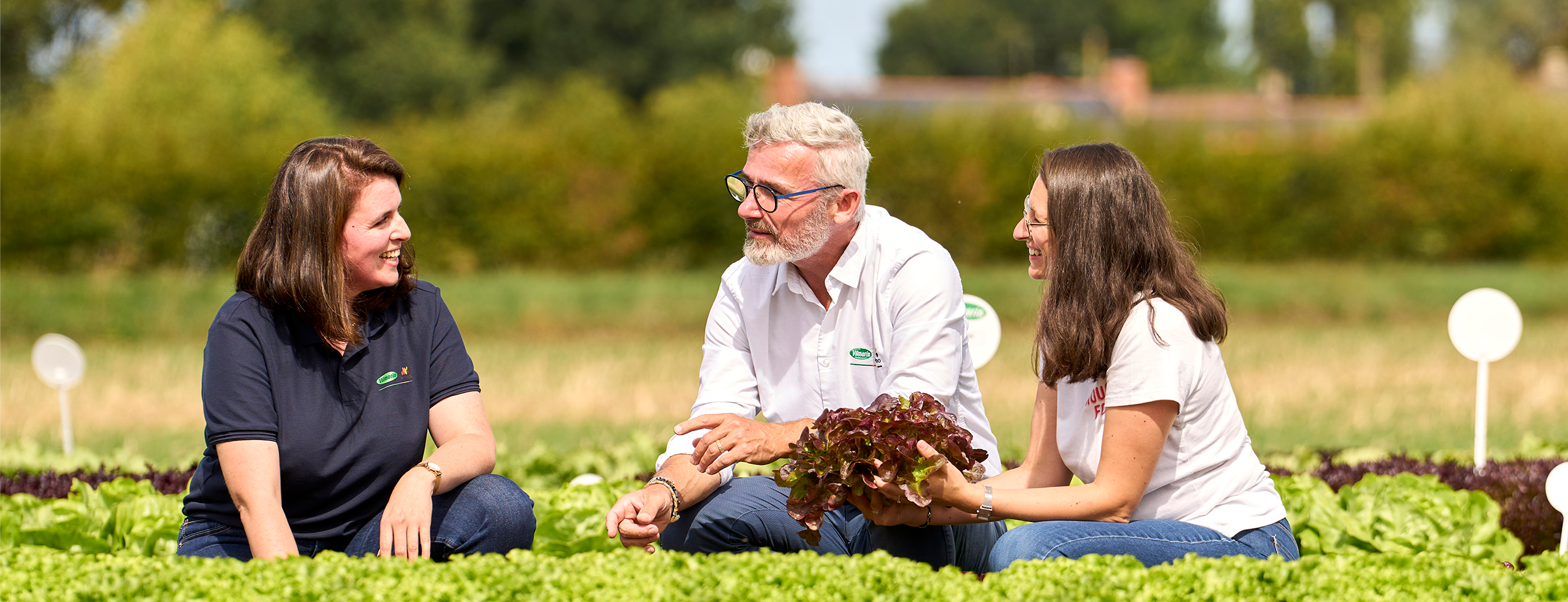 Vilmorin-Mikado Brasil, especialista em sementes hortícolas