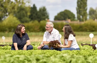 VILMORIN-MIKADO PEOPLE