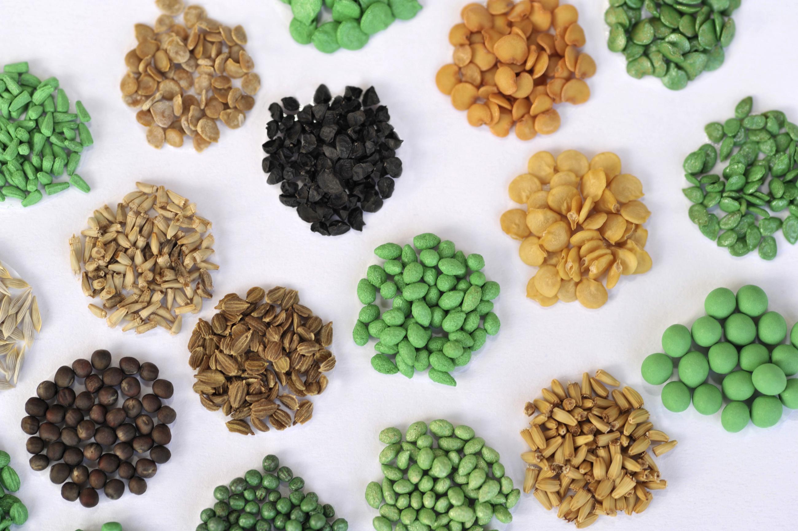 Vilmorin-Mikado Seeds