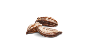 cenoura semillas