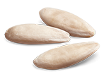Sementes